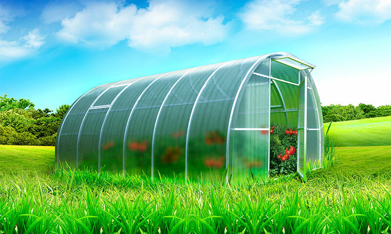 <span style="font-weight: bold;">ТЕПЛИЦЫ </span>